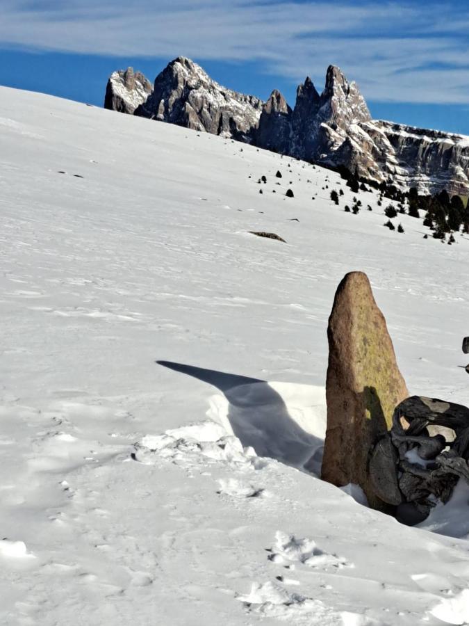 Santa Cristina Val Gardena Residence Casa Metz المظهر الخارجي الصورة