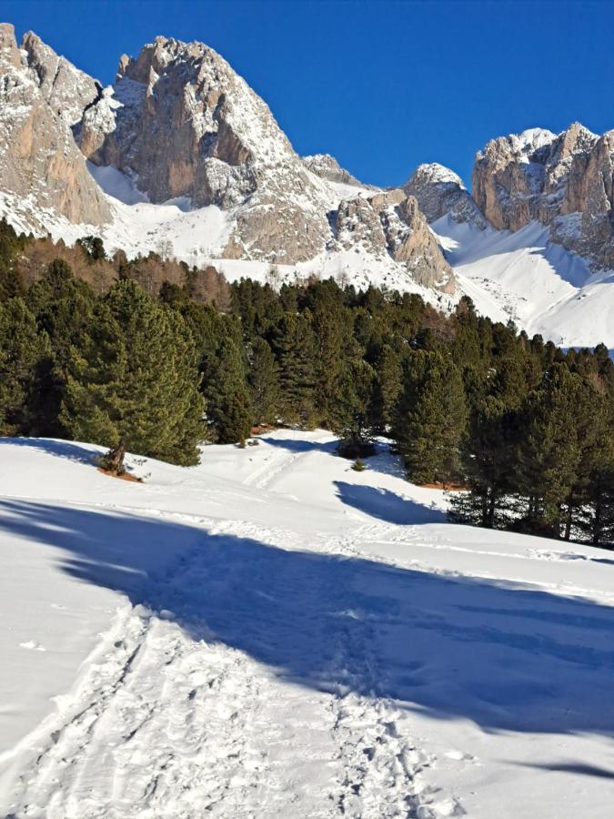 Santa Cristina Val Gardena Residence Casa Metz المظهر الخارجي الصورة